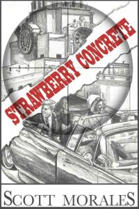 Cover image: Strawberry Concrete 9781952894930