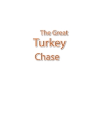 Titelbild: The Great Turkey Chase 9781639859047