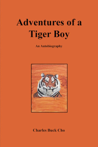 Imagen de portada: Adventures of a Tiger Boy 9781640033245