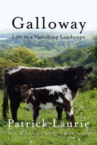 Cover image: Galloway 9781640095007
