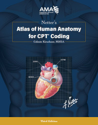 Cover image: Netter's Atlas of Human Anatomy for CPT Coding 3rd edition 9781640160354