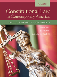 Cover image: Schultz, Deardorff, and Vile's Constitutional Law in Contemporary America, Volume 1: Institutions, Politics, and Process 1st edition 9781683285588