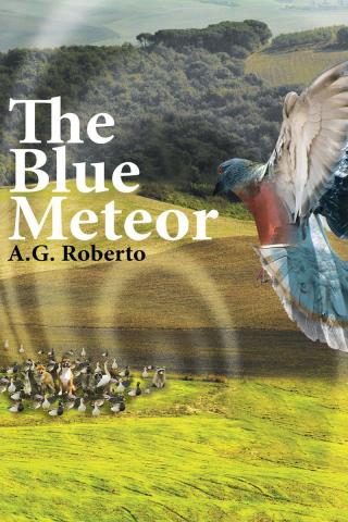 Cover image: The Blue Meteor 9781640288836