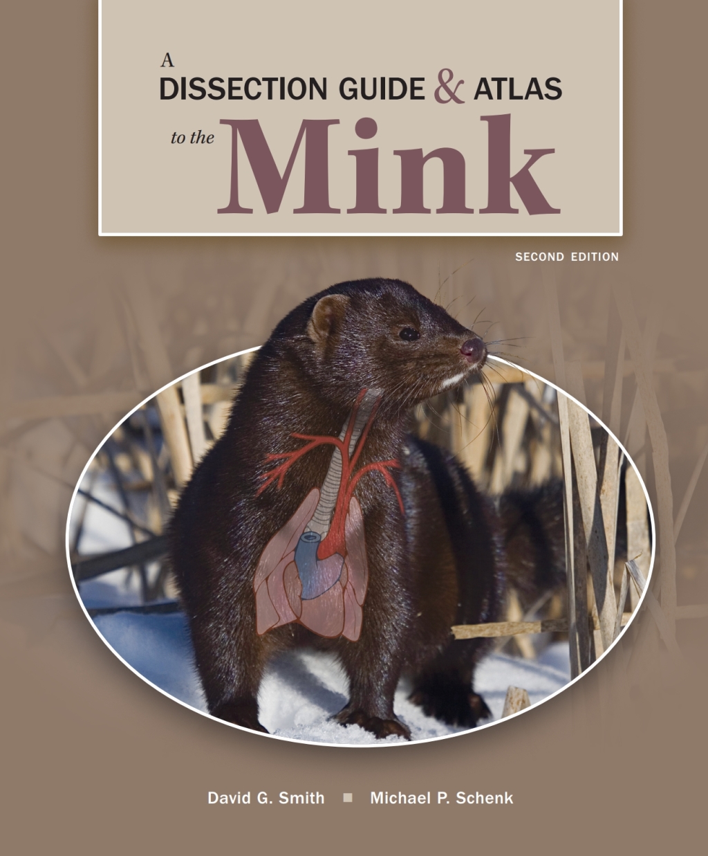 A Dissection Guide and Atlas to the Mink 2nd Edition