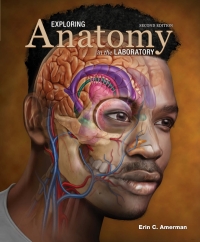 Cover image: Exploring Anatomy in the Laboratory 2nd edition 9781640431829