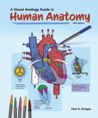 Imagen de portada: A Visual Analogy Guide to Human Anatomy 5th edition 9781640431942