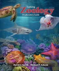 Cover image: Exploring Zoology A Laboratory Guide 3rd edition 9781640432048