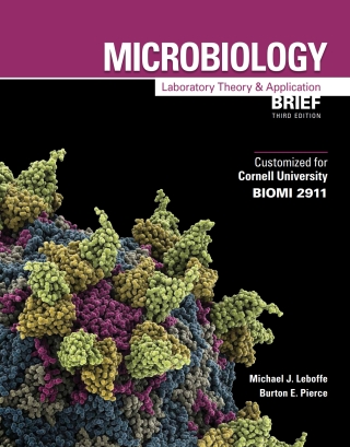Cover image: Custom: Ebook: Cornell Univ MLTAb3 3rd edition 9781640431553