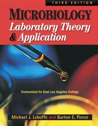 Cover image: Custom: Ebook: East Los Angeles Clg MLTA3 3rd edition 9781617314070