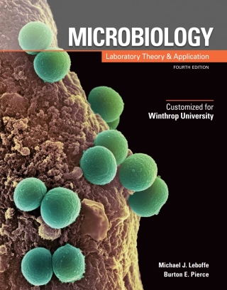 Cover image: Custom: Ebook: Winthrop Univ MLTA4 4th edition 9781640432963
