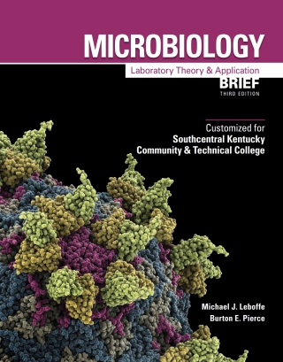 Cover image: Custom: Ebook: Southcentral KY CTC MLTAb3 3rd edition 9781617318016