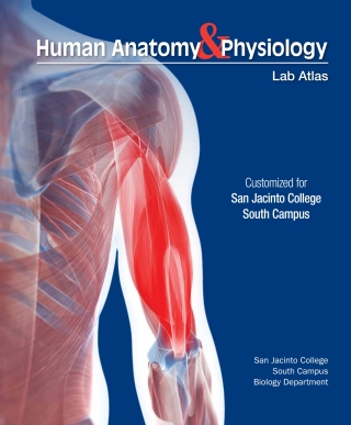 Cover image: Custom: Ebook: San Jacinto Clg South A&P Atlas 1st edition 9781640433069