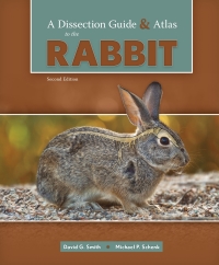 表紙画像: A Dissection Guide and Atlas to the Rabbit 2nd edition 9781640434103