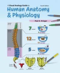 Cover image: A Visual Analogy Guide to Human Anatomy and Physiology 4th edition 9781640434271