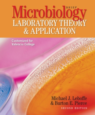 Cover image: Custom: Ebook: Valencia Clg MLTAb2 2nd edition 9781617312007