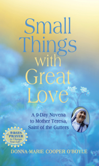 Cover image: Small Things With Great Love 9781640601130