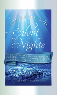 Cover image: Twelve Days of Silent Nights 9781640603370