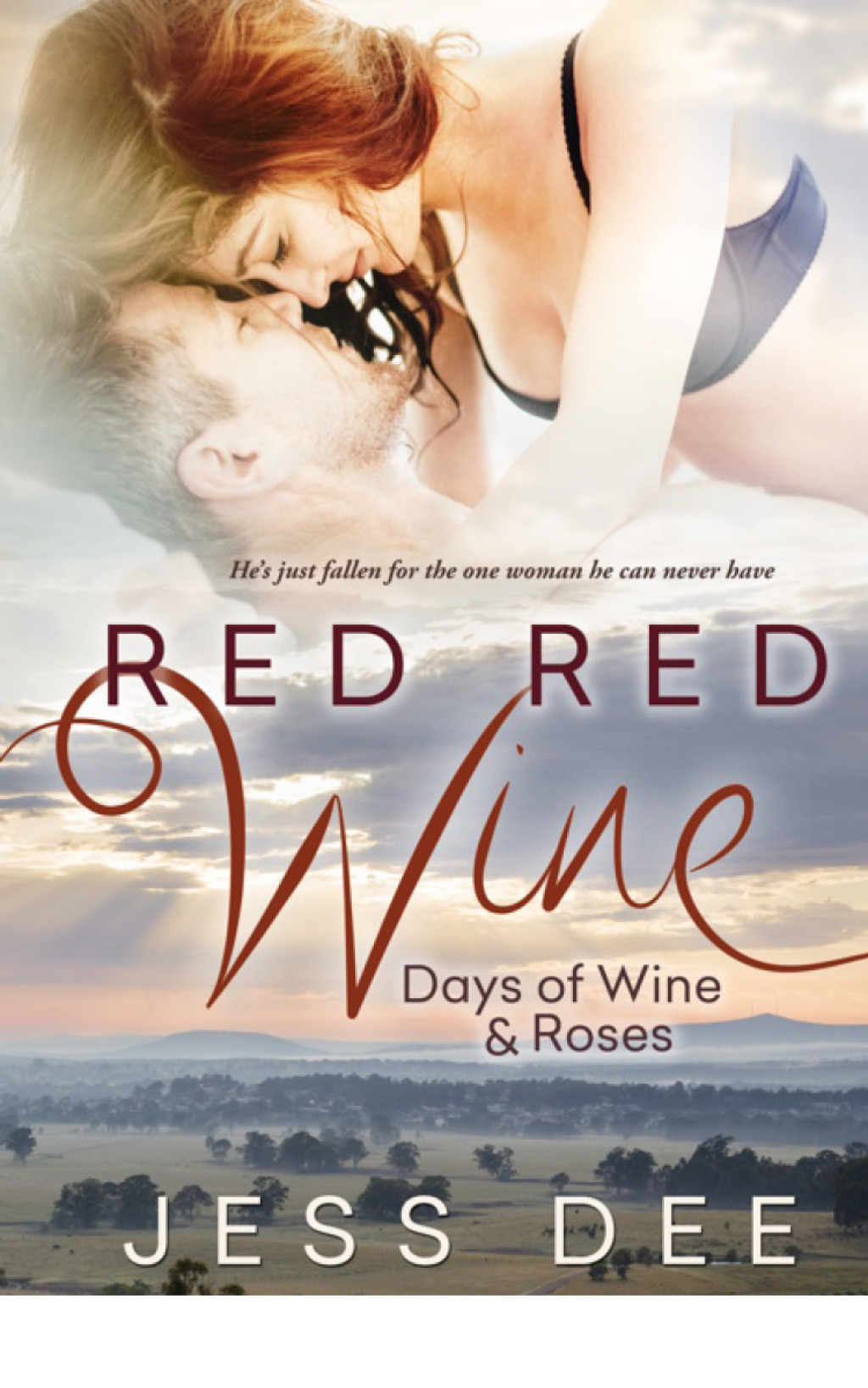 Red Red Wine eBook