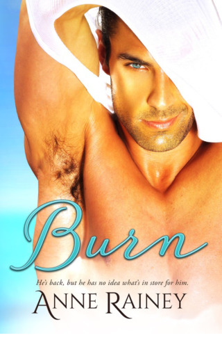 Cover image: Burn 9781640632844