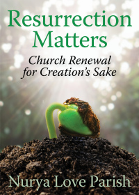 Cover image: Resurrection Matters 9781640650145