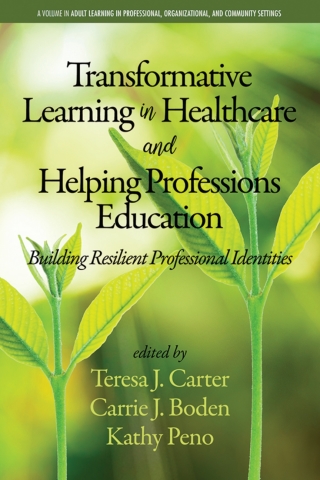 Imagen de portada: Transformative Learning in Healthcare and Helping Professions Education: Building Resilient Professional Identities 9781641136792