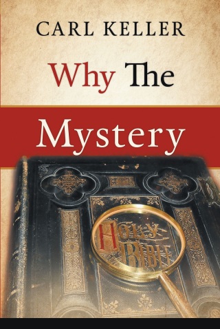 Imagen de portada: Why The Mystery 9781641146425