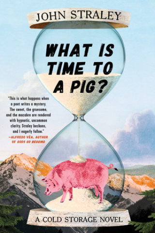 Cover image: What Is Time to a Pig? 9781641290845