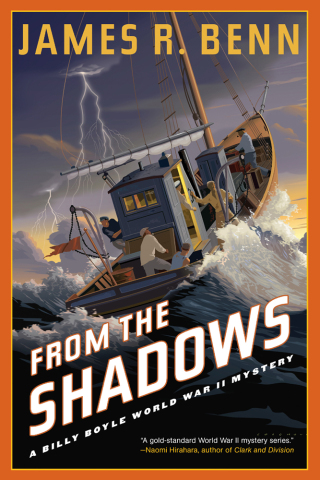 Cover image: From the Shadows 9781641292986