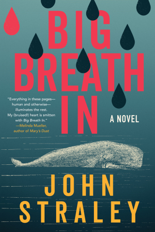 Cover image: Big Breath In 9781641296540