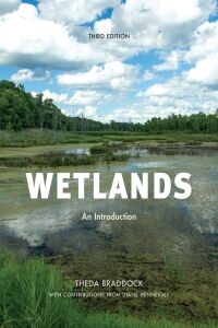 Imagen de portada: Wetlands 3rd edition 9781641432528