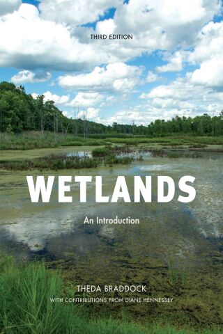 Cover image: Wetlands 3rd edition 9781641432528