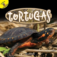 Cover image: Tortugas 9781641560122