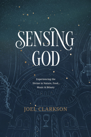 Cover image: Sensing God 9781641582087