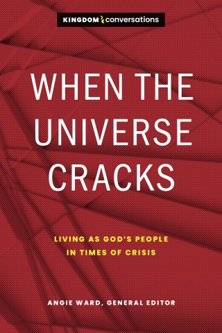 Imagen de portada: When the Universe Cracks 9781641584098