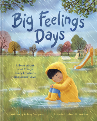 Cover image: Big Feelings Days 9781641586894