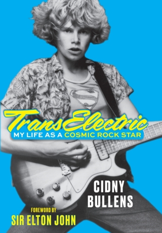 Cover image: TransElectric 9781641607902