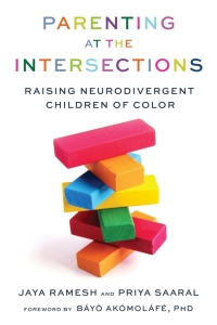 Cover image: Parenting at the Intersections 9781641608893