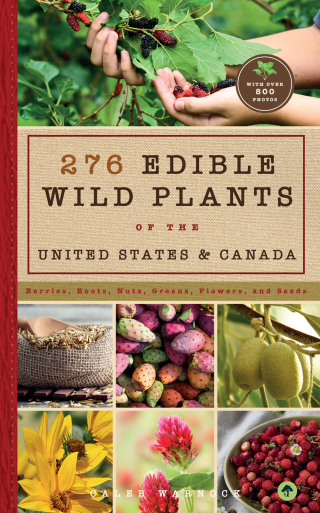 Cover image: 276 Edible Wild Plants of the United States and Canada 9781641702423