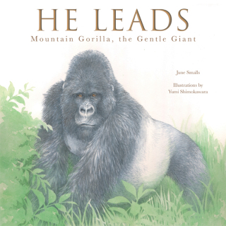 Imagen de portada: He Leads 9781641706483