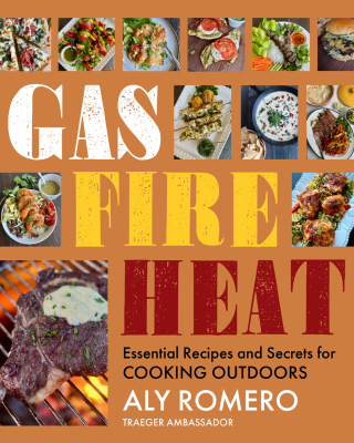 Cover image: Gas Fire Heat 9781641709101