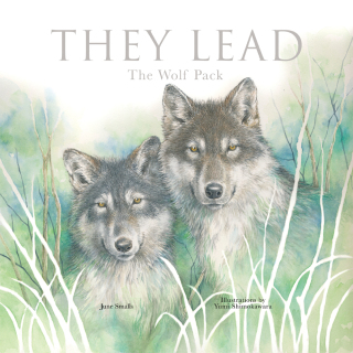 Cover image: They Lead 9781641709743