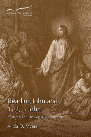 Titelbild: Reading John and 1, 2, 3 John: A Literary and Theological Commentary 1st edition 9781641731560