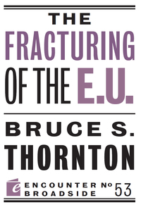 Cover image: The Fracturing of the E.U. 9781594039997