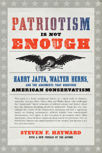 Cover image: Patriotism Is Not Enough 9781641770187