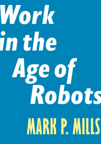 Cover image: Work in the Age of Robots 9781641770279