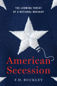 Cover image: American Secession 9781641770804