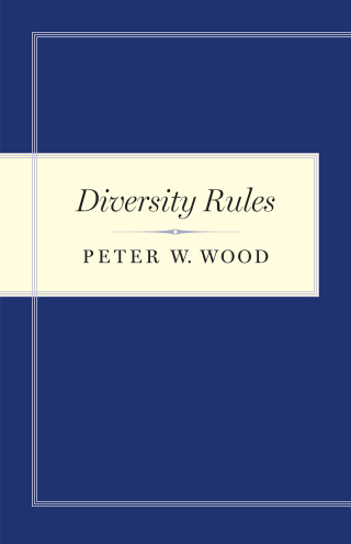 Imagen de portada: Diversity Rules 9781641771122