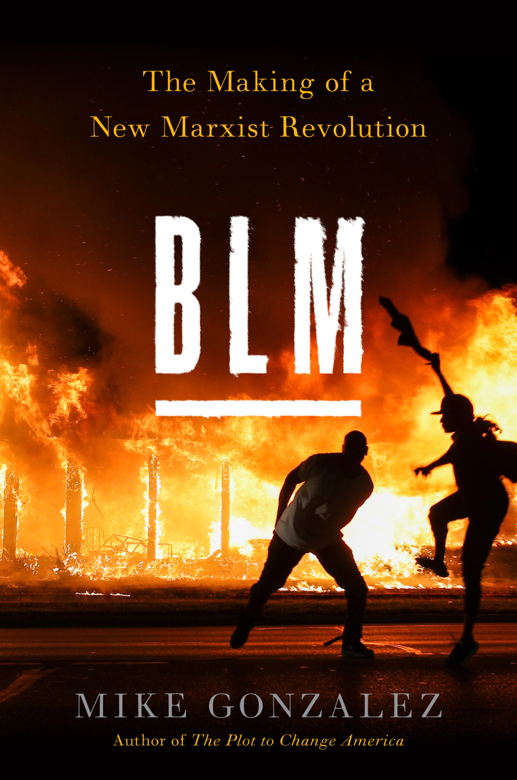 BLM (eBook)