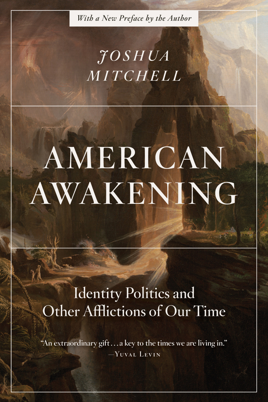 American Awakening Identity Politics and Other Afflictions of Our Time