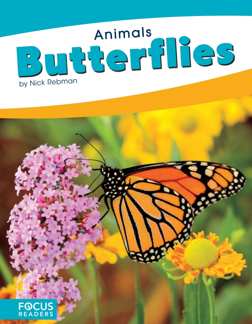 Butterflies 1st Edition